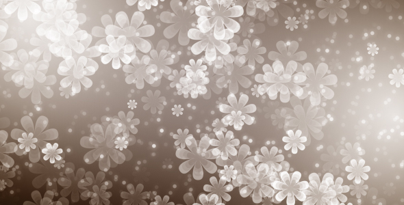 Flower Particles by motionhive | VideoHive